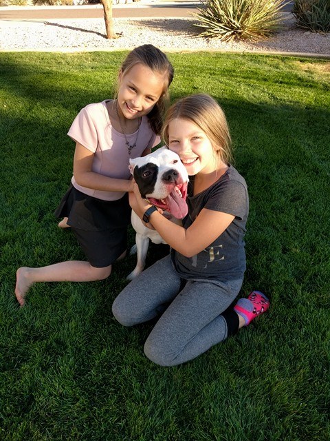 POOP 911 Phoenix - Photo 2