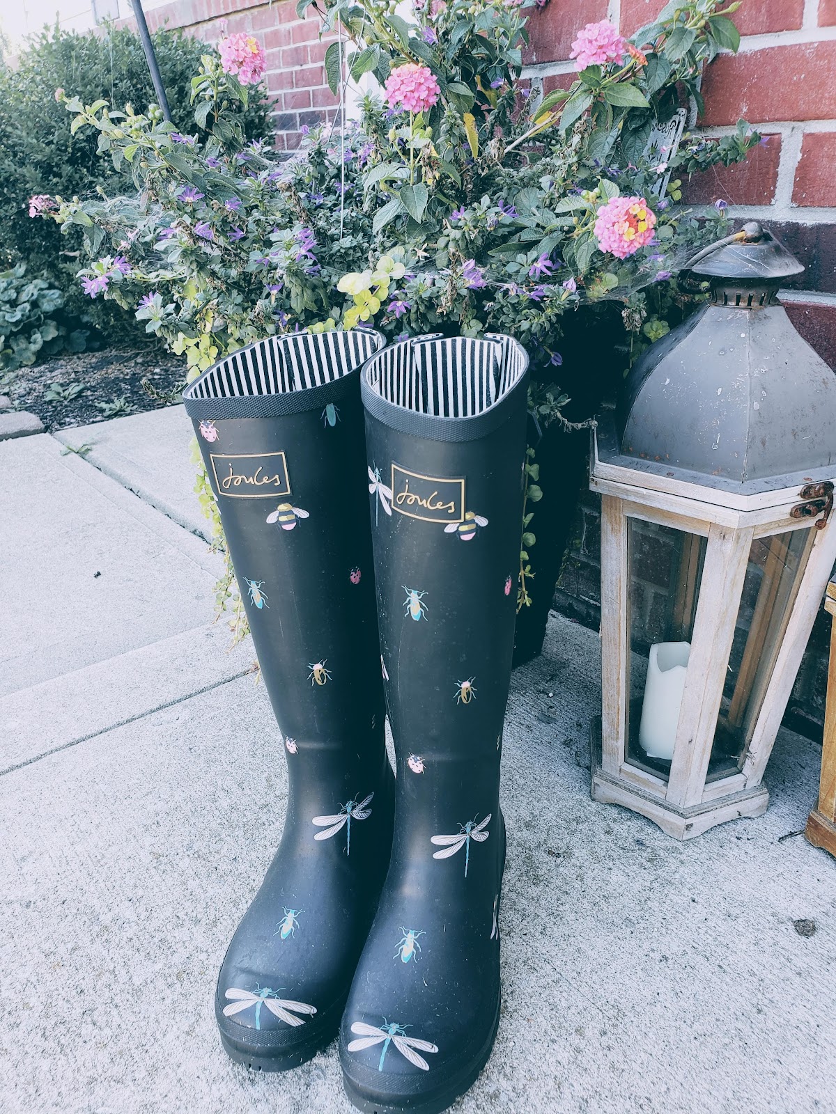 Boot Scoop Poopie, LLC - Photo 2