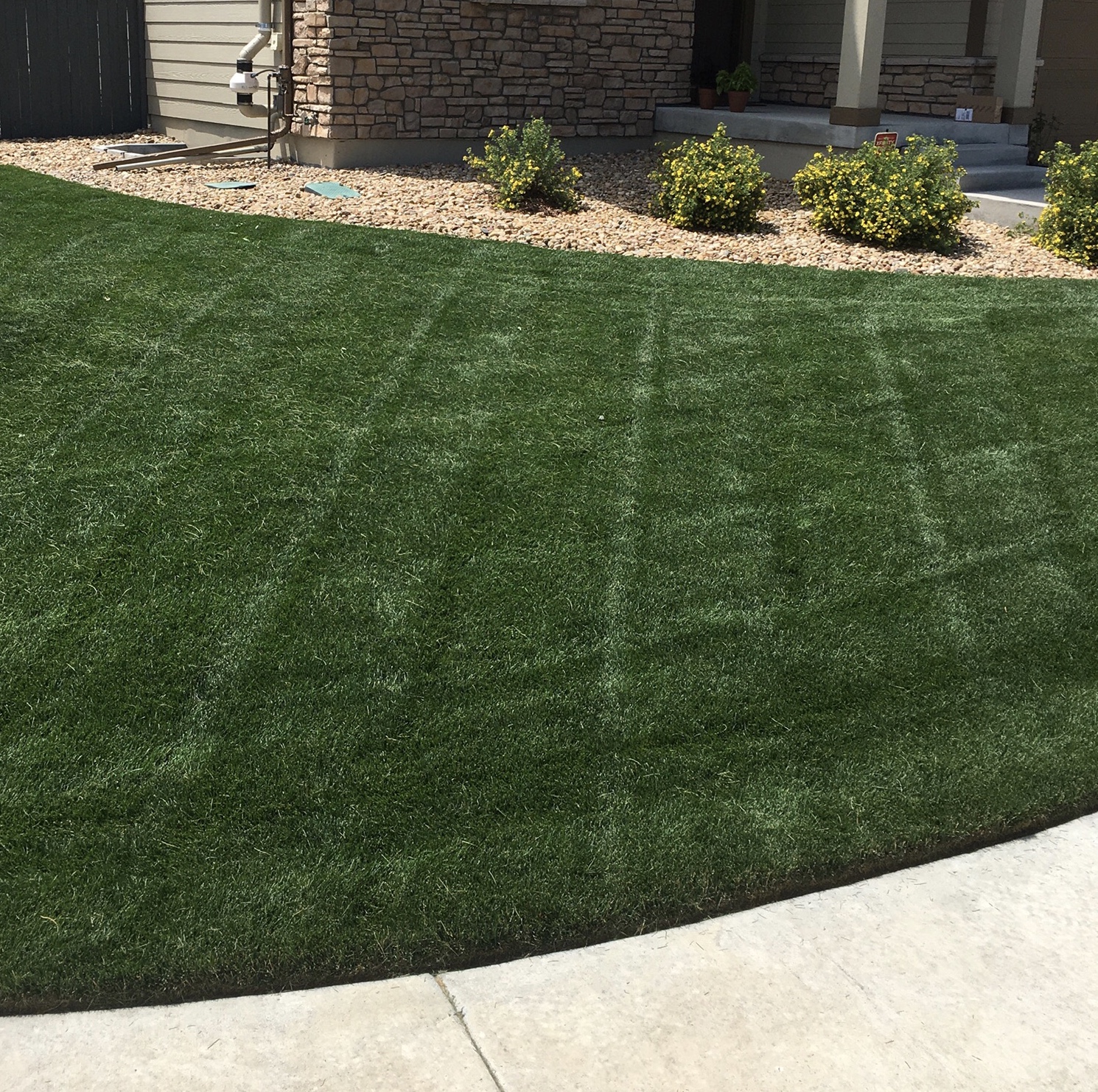 Pick- Up Artist Pet Waste Service