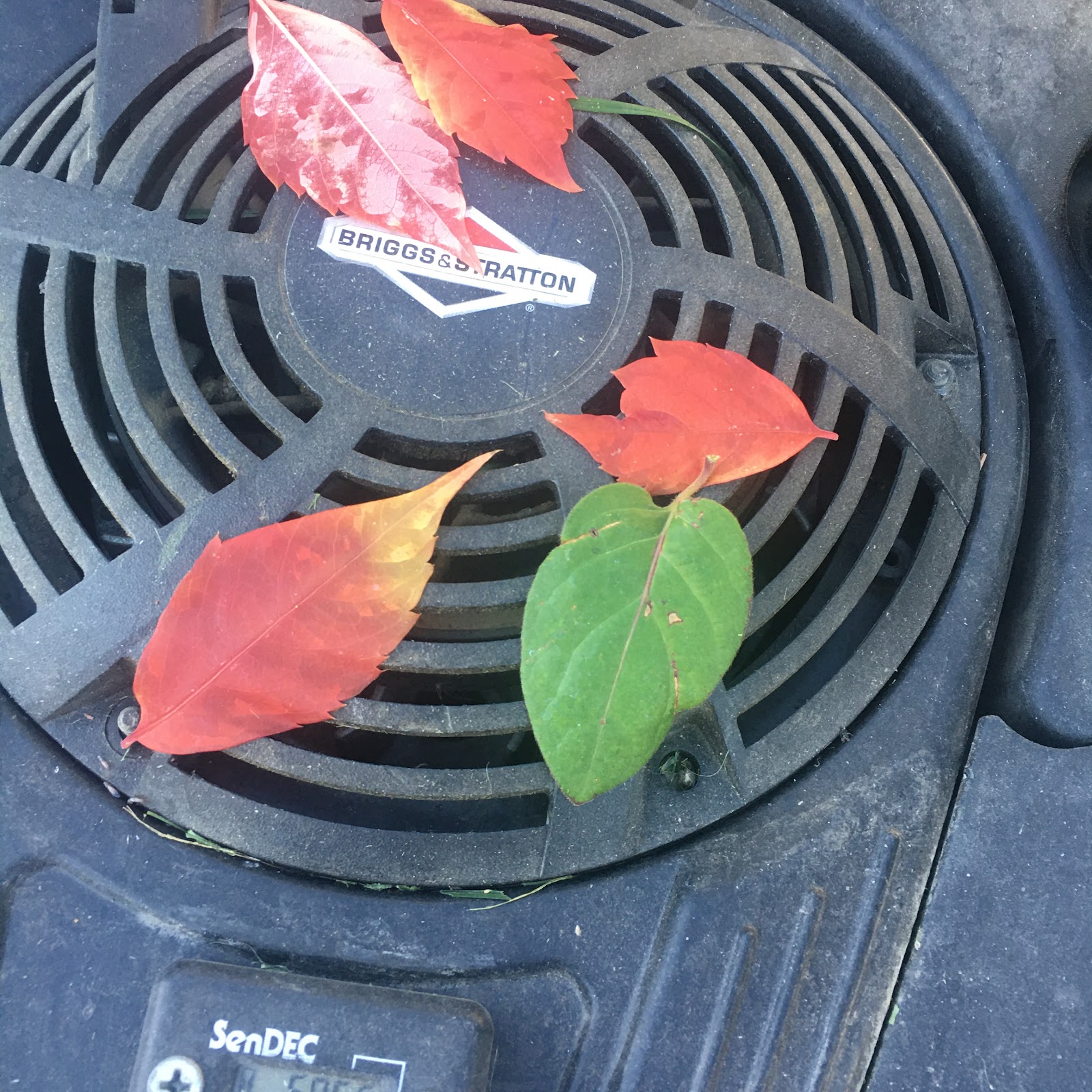 Pick- Up Artist Pet Waste Service - Photo 2