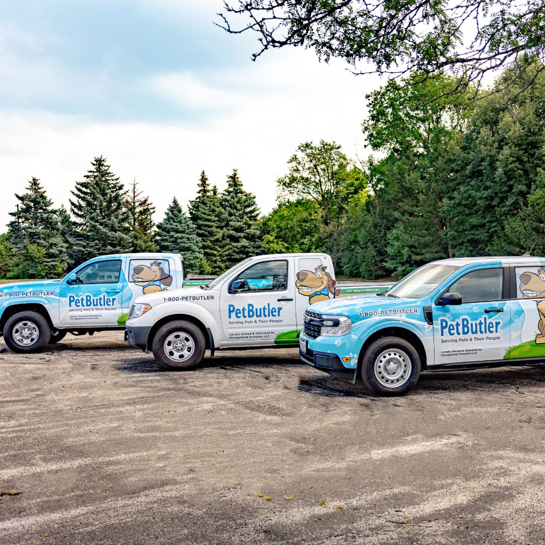 Pet Butler - Photo 4