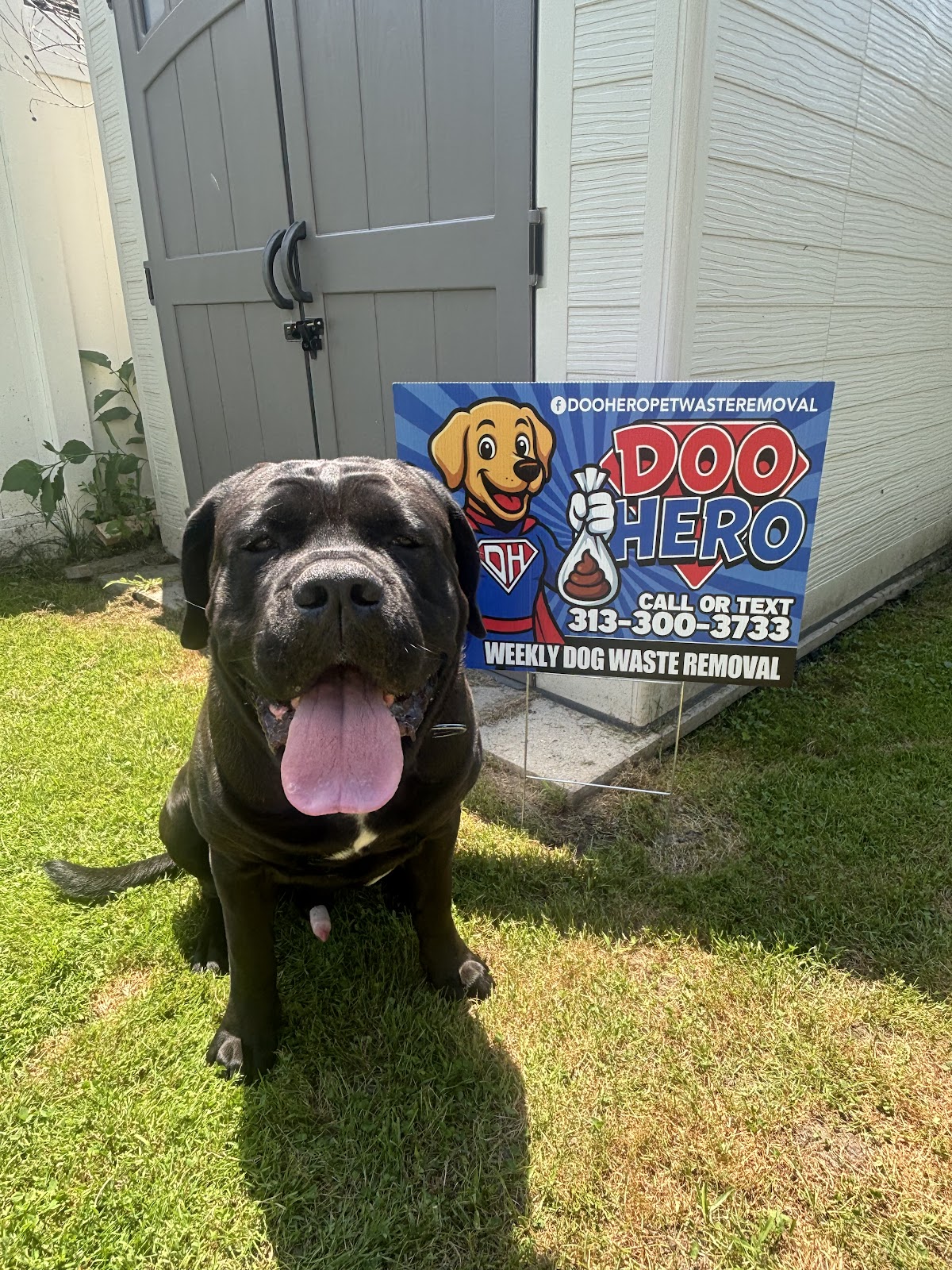 Doo Hero Pet Waste Removal - Photo 3