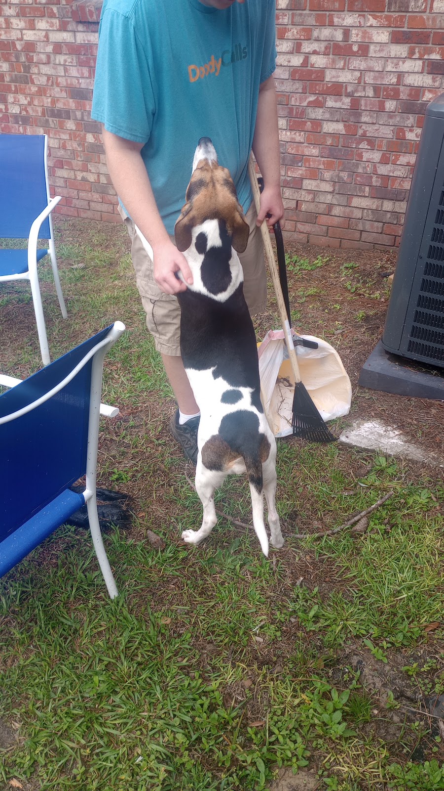 DoodyCalls® of Lakewood - Photo 3