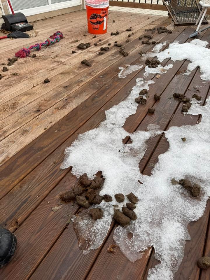 Poo Squad Lawrence - Photo 3