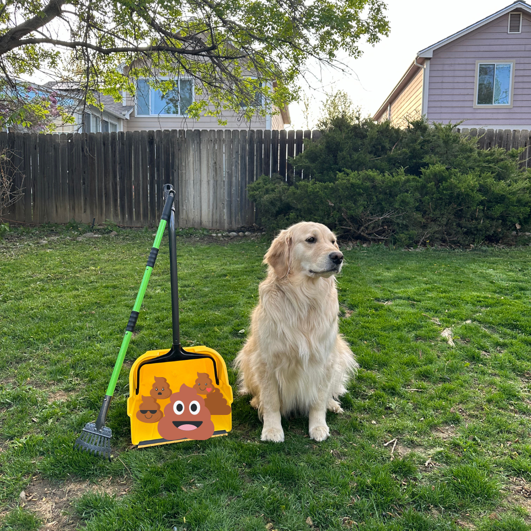 Golden Scoopers LLC - Photo 2