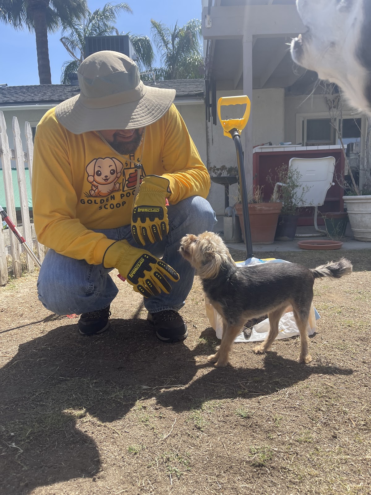 Golden Poop Scoop - Photo 2