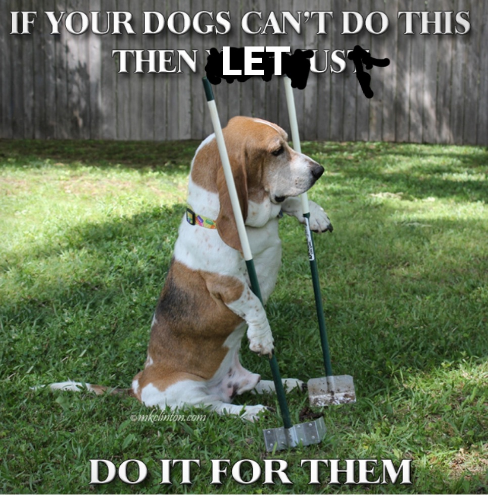 Doggie Doo Pet Waste Management - Photo 2