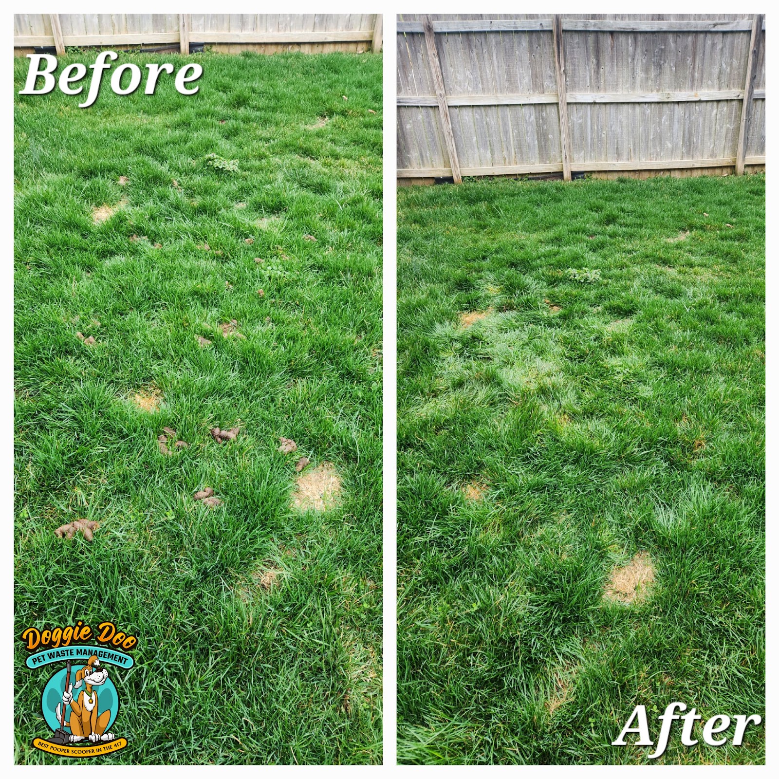 Doggie Doo Pet Waste Management - Photo 4