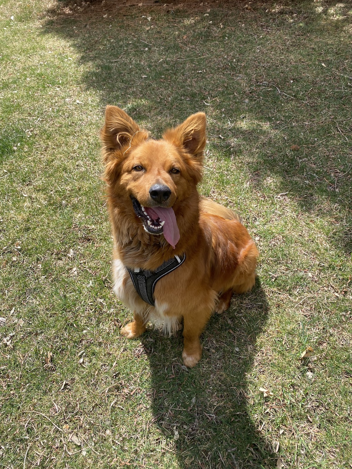 Call of Doody - Photo 2