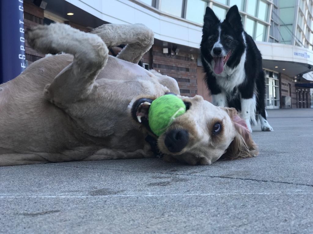 Call of Doody - Photo 4