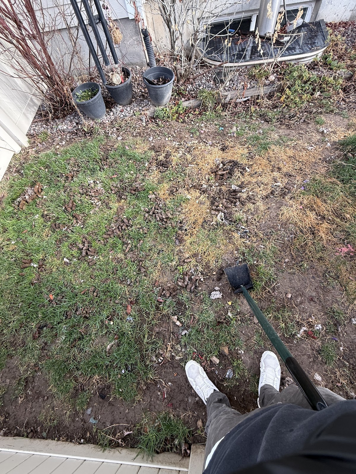 The Pooper Scooper - Photo 2