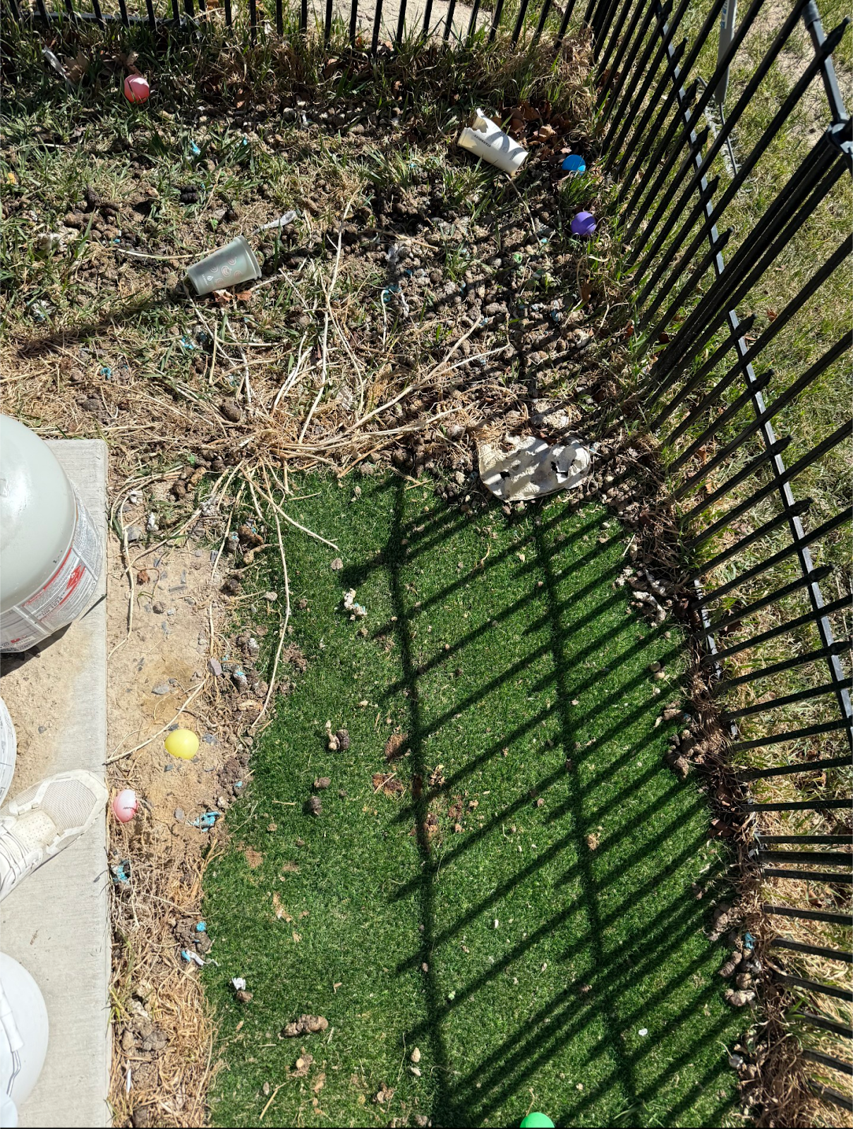 The Pooper Scooper - Photo 3