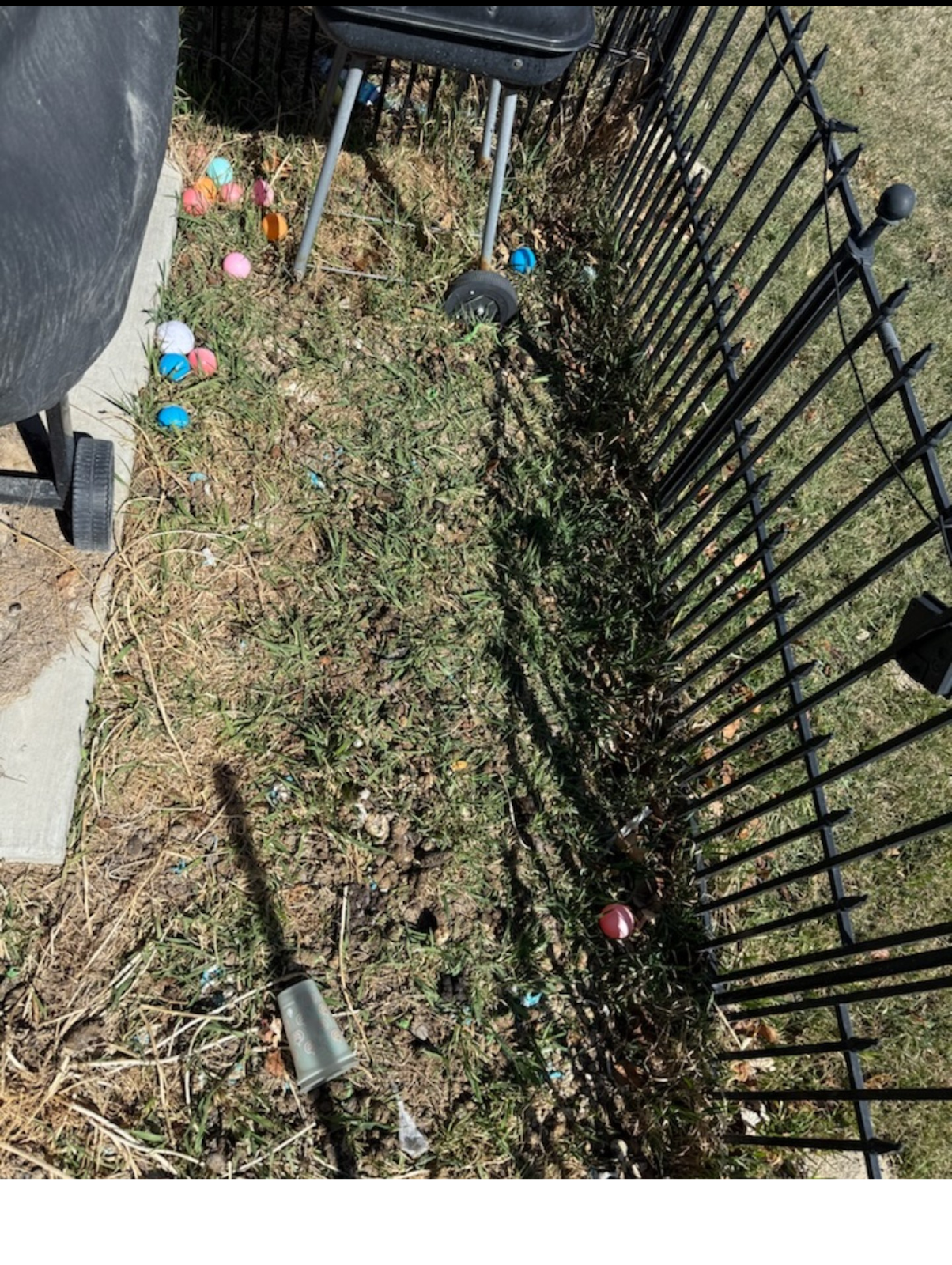 The Pooper Scooper - Photo 4