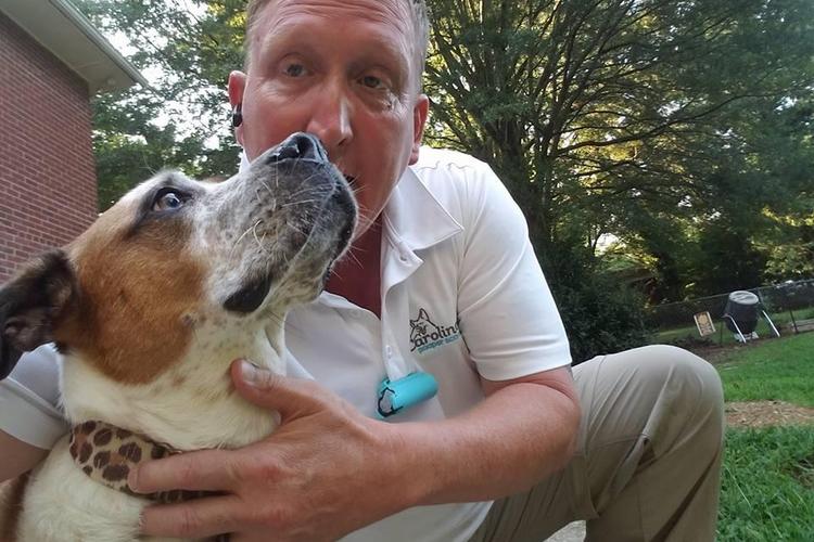 Carolina Pooper Scoopers - Photo 3