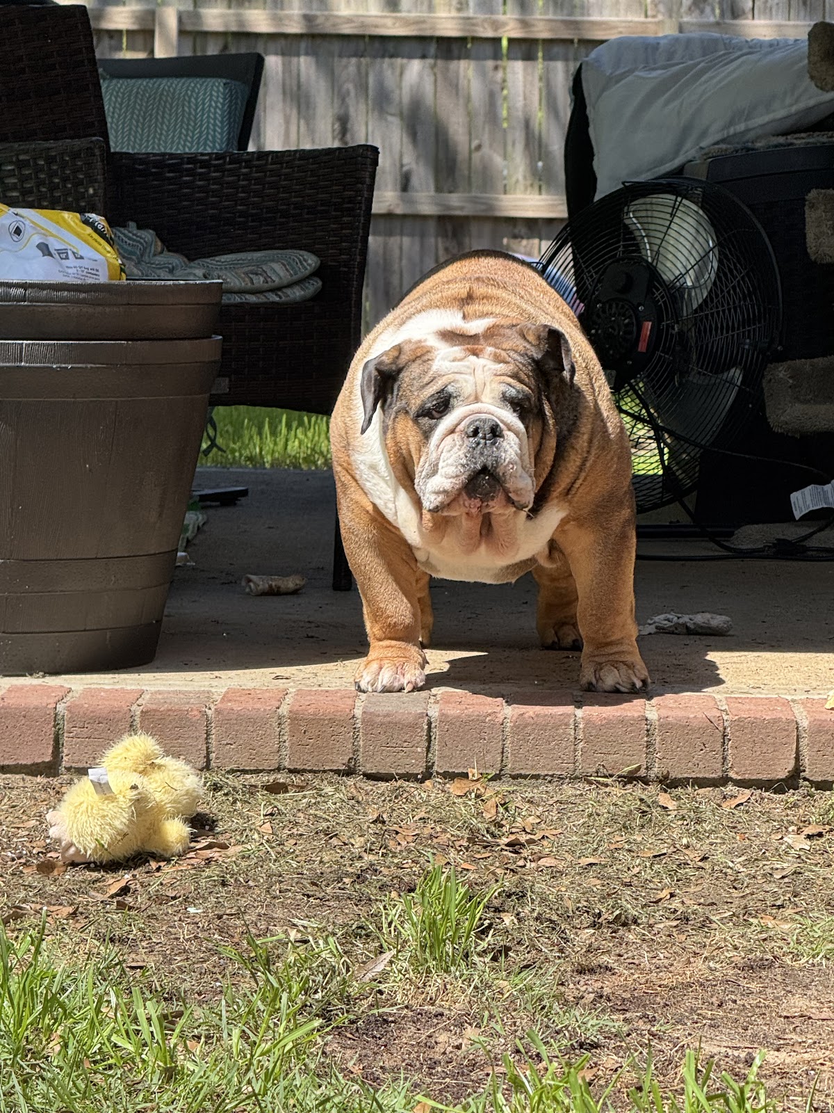 PoopScoopr - Photo 4