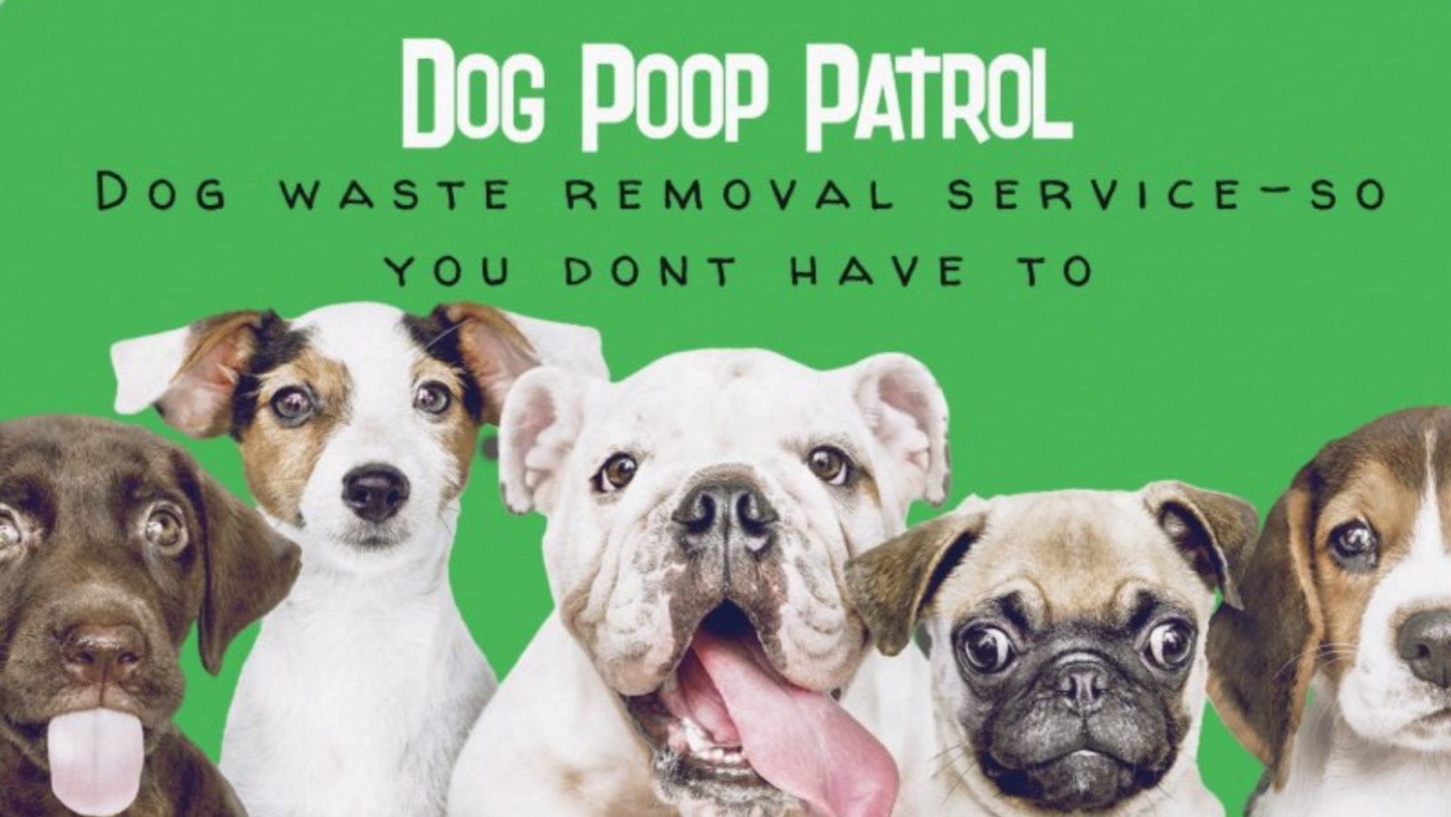 Dog Poop Patrol
