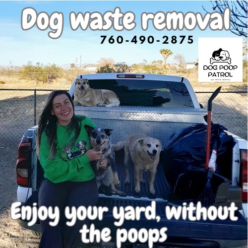 Dog Poop Patrol - Photo 2
