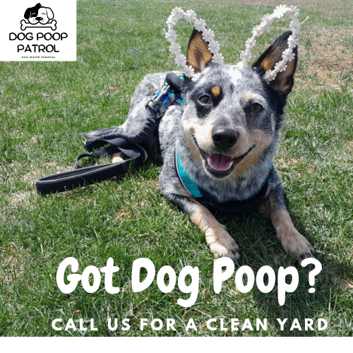 Dog Poop Patrol - Photo 4