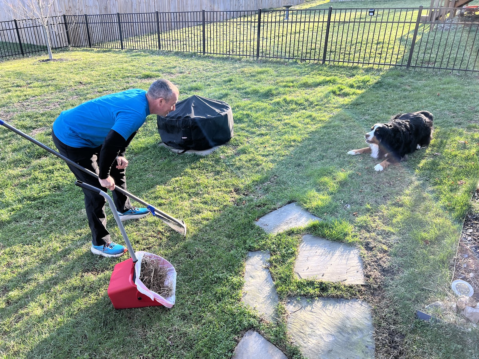 Lucky Dog Solutions - Photo 2