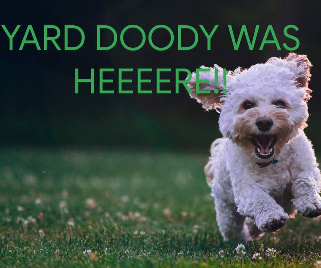 Yard Doody of Upper Perk - Photo 3