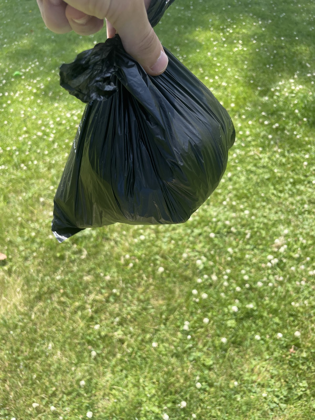 Mighty Paws Pet Waste Removal LLC