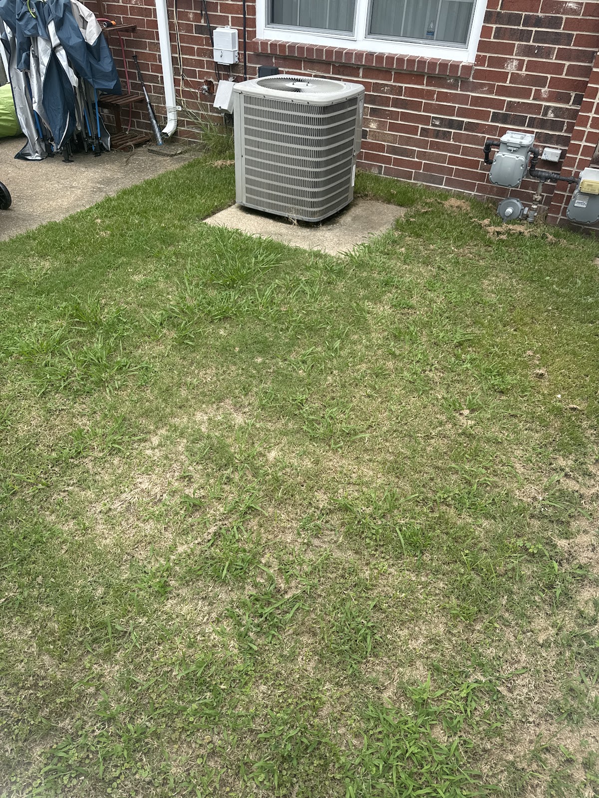 P³ Puppy Poop Patrol