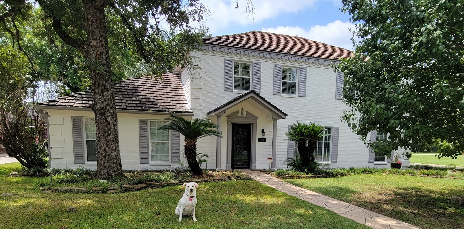 The Poo Pro - Photo 2