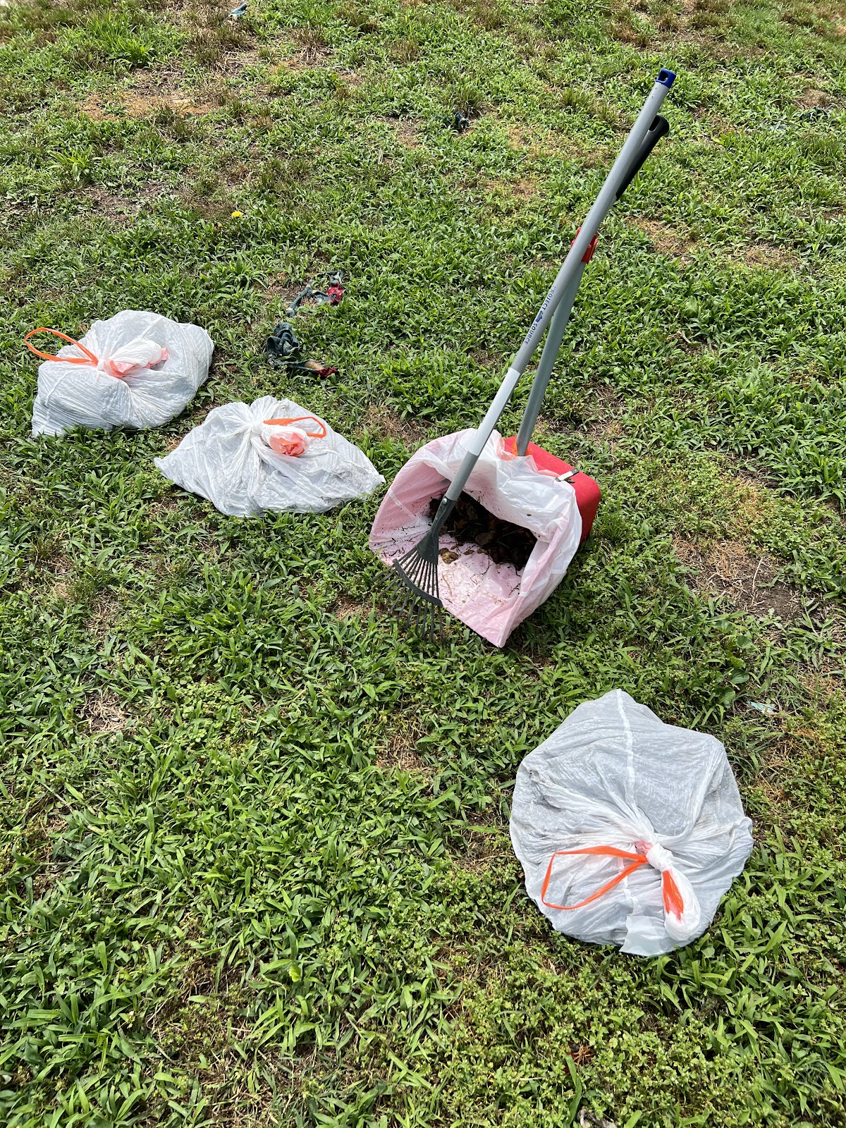 Scoop it Dude Pet Waste Removal - Photo 4