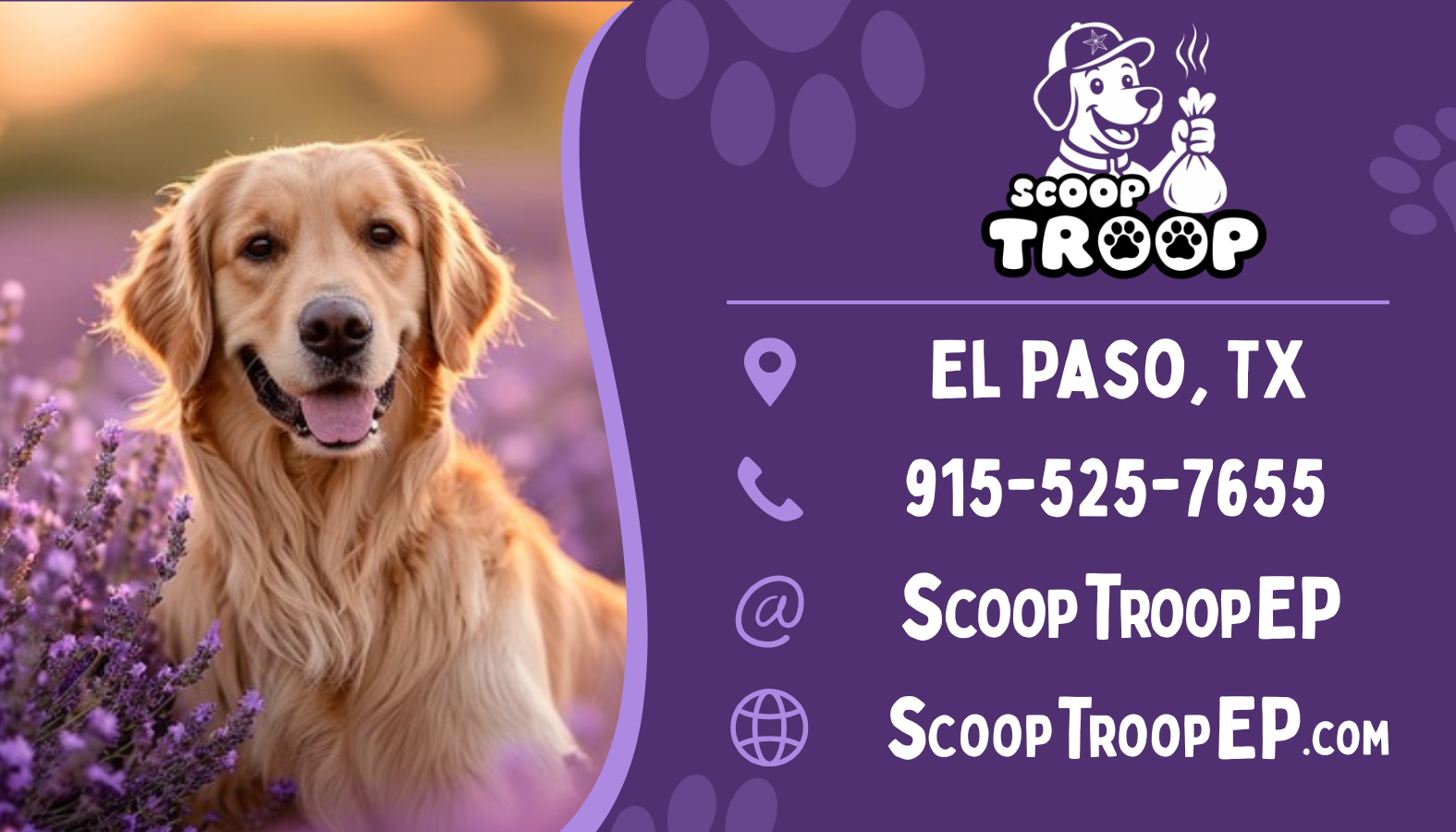 Scoop Troop - Photo 4