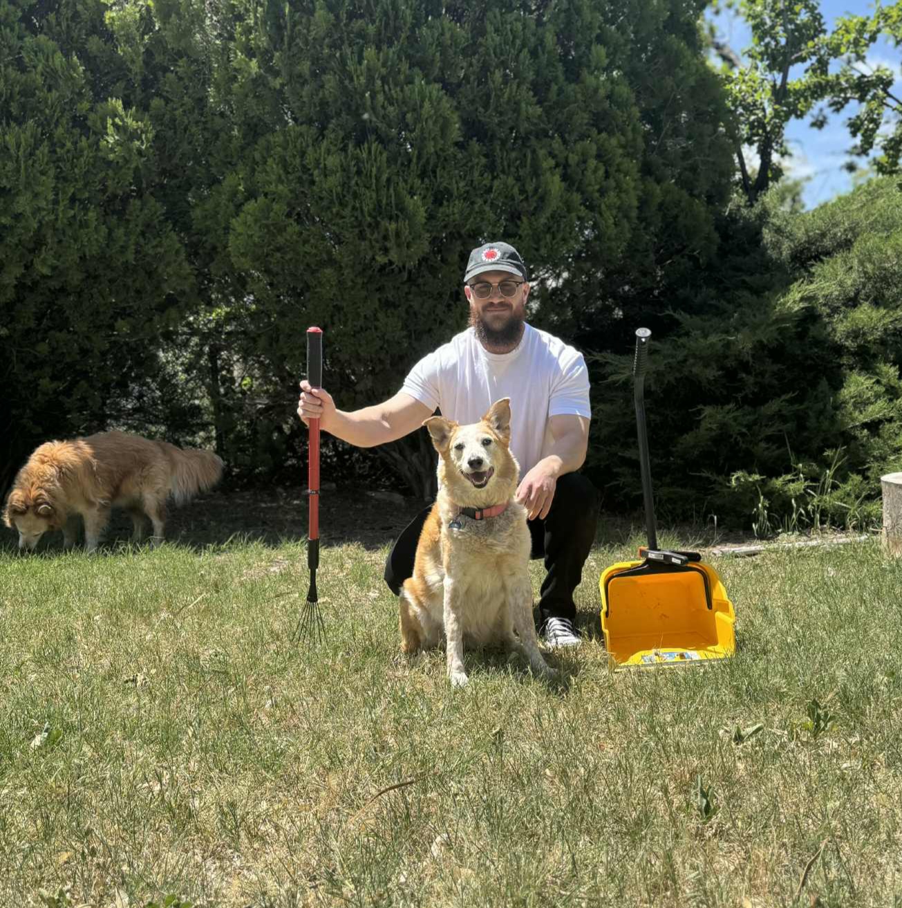 Pet Waste Pros - Pooper Scooper Service