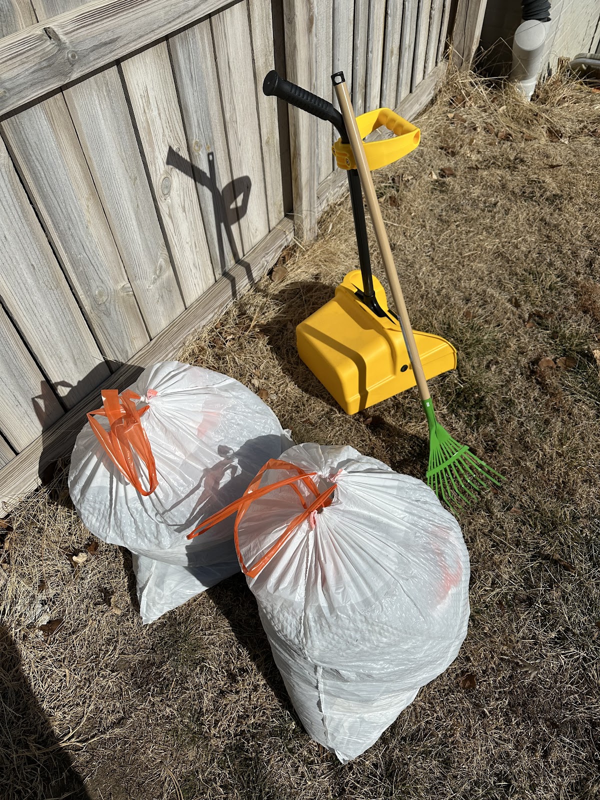 Poobear Pet Waste Management - Photo 4