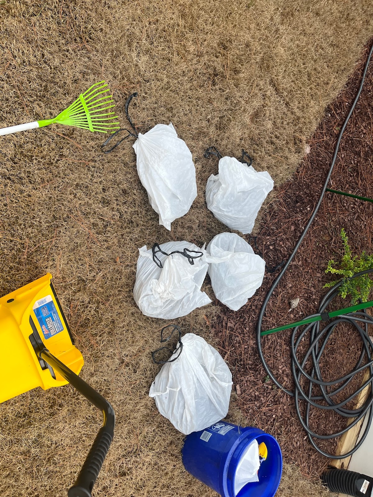 Circle City Scoopers - Photo 4