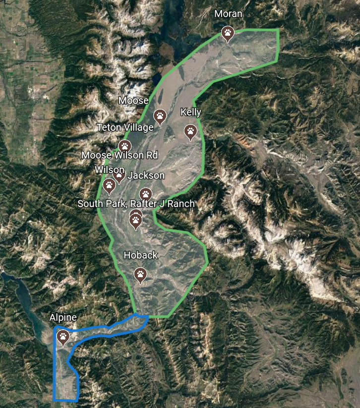 The Dog's Business - Photo 2