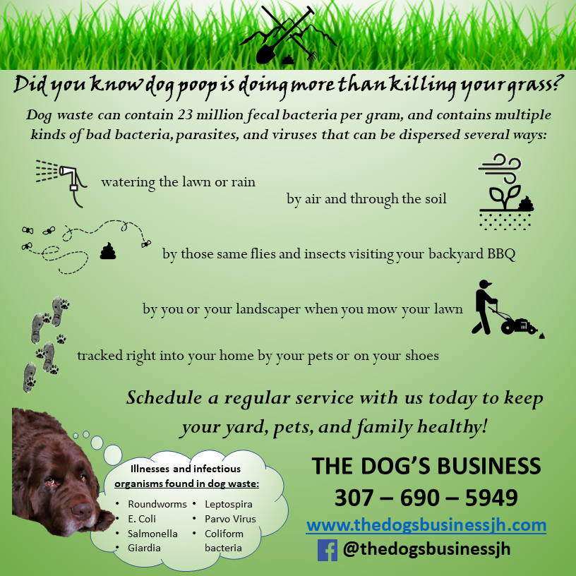 The Dog's Business - Photo 3