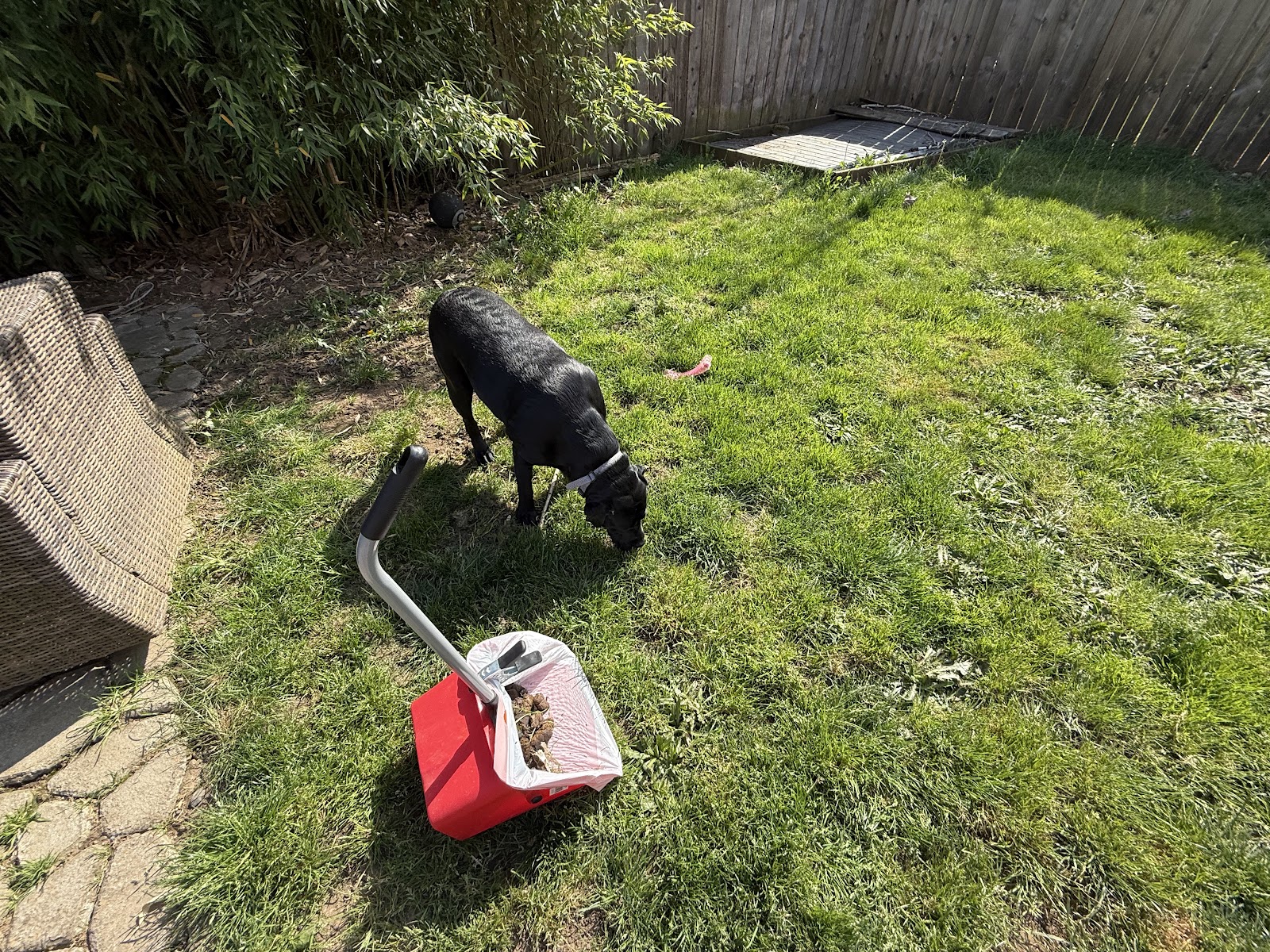 Poop Portal Dog Waste Removal - Photo 2