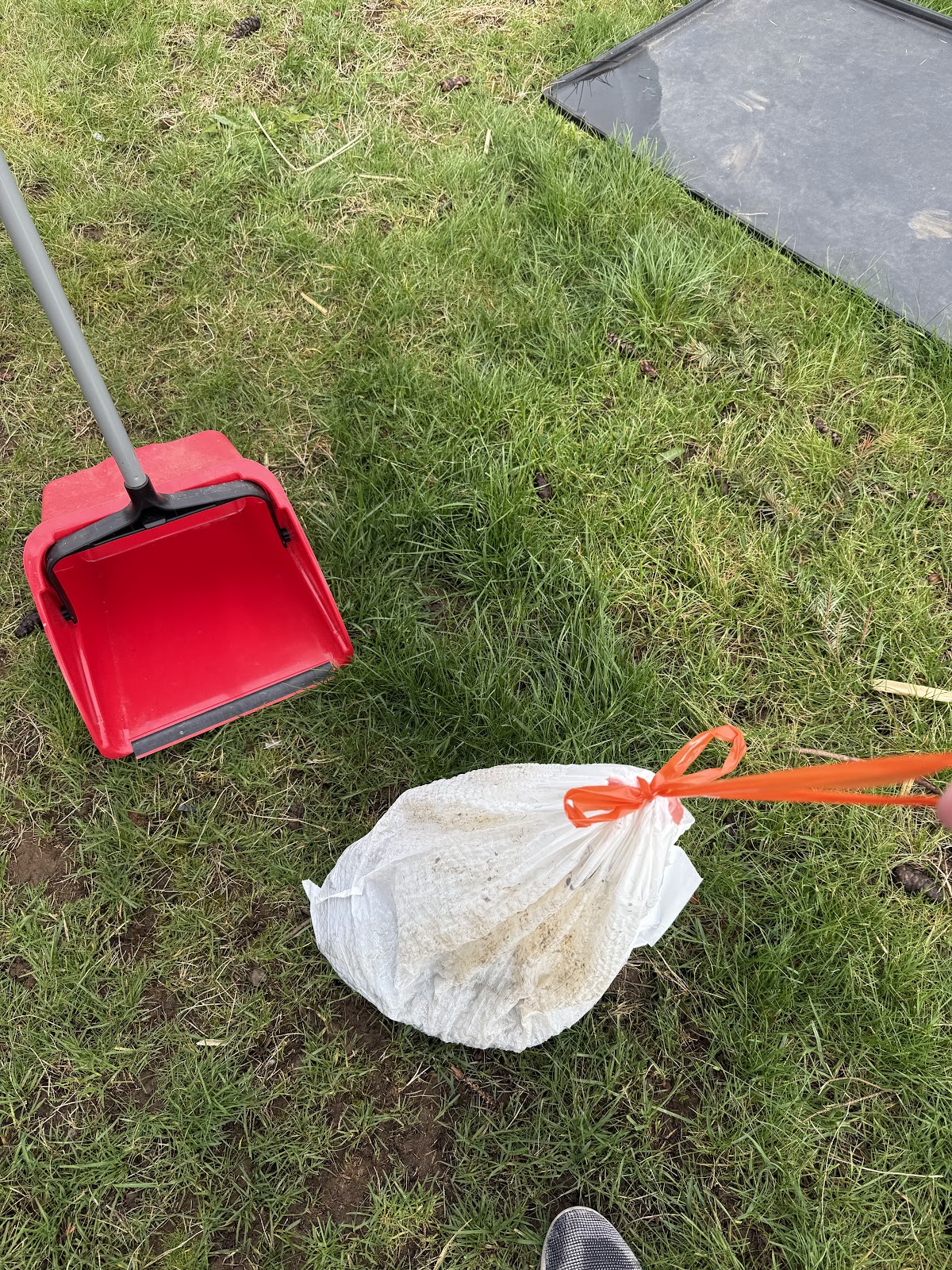 Poop Portal Dog Waste Removal - Photo 4