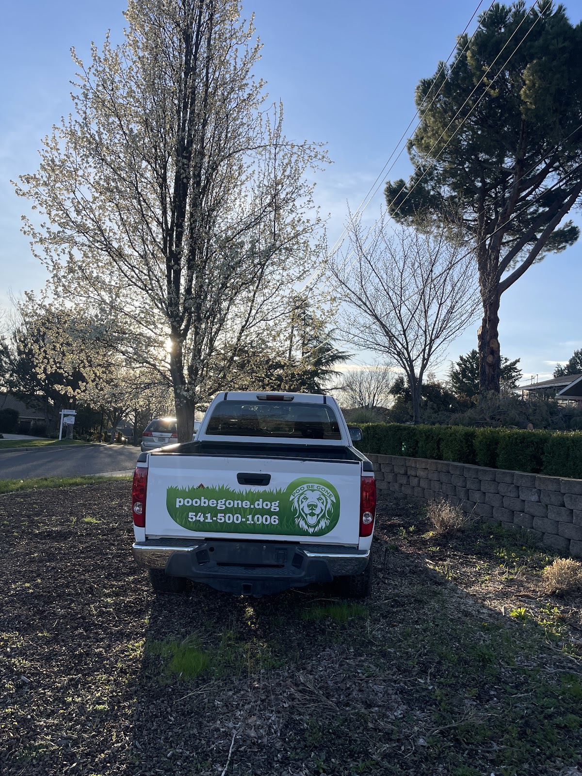 poo be gone - Photo 2