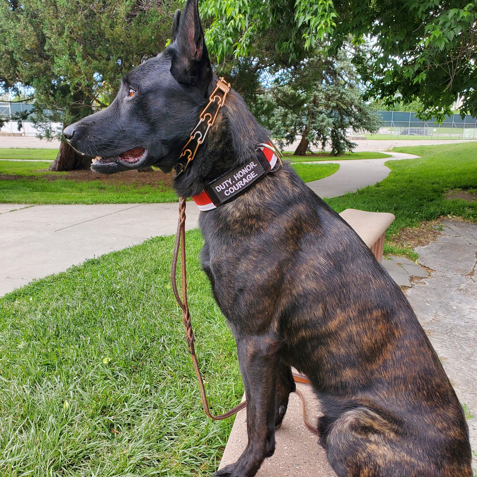 Poop Scoop Utah - Photo 3