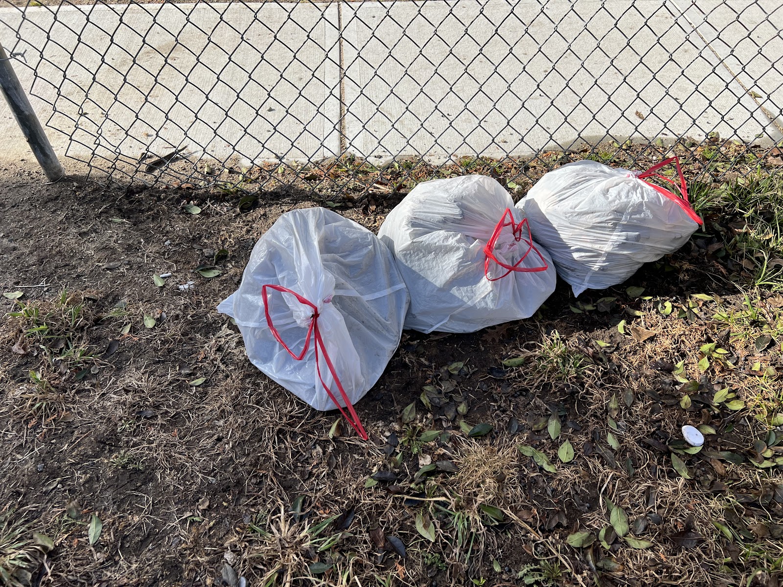 Poop Scoop Mass - Photo 4