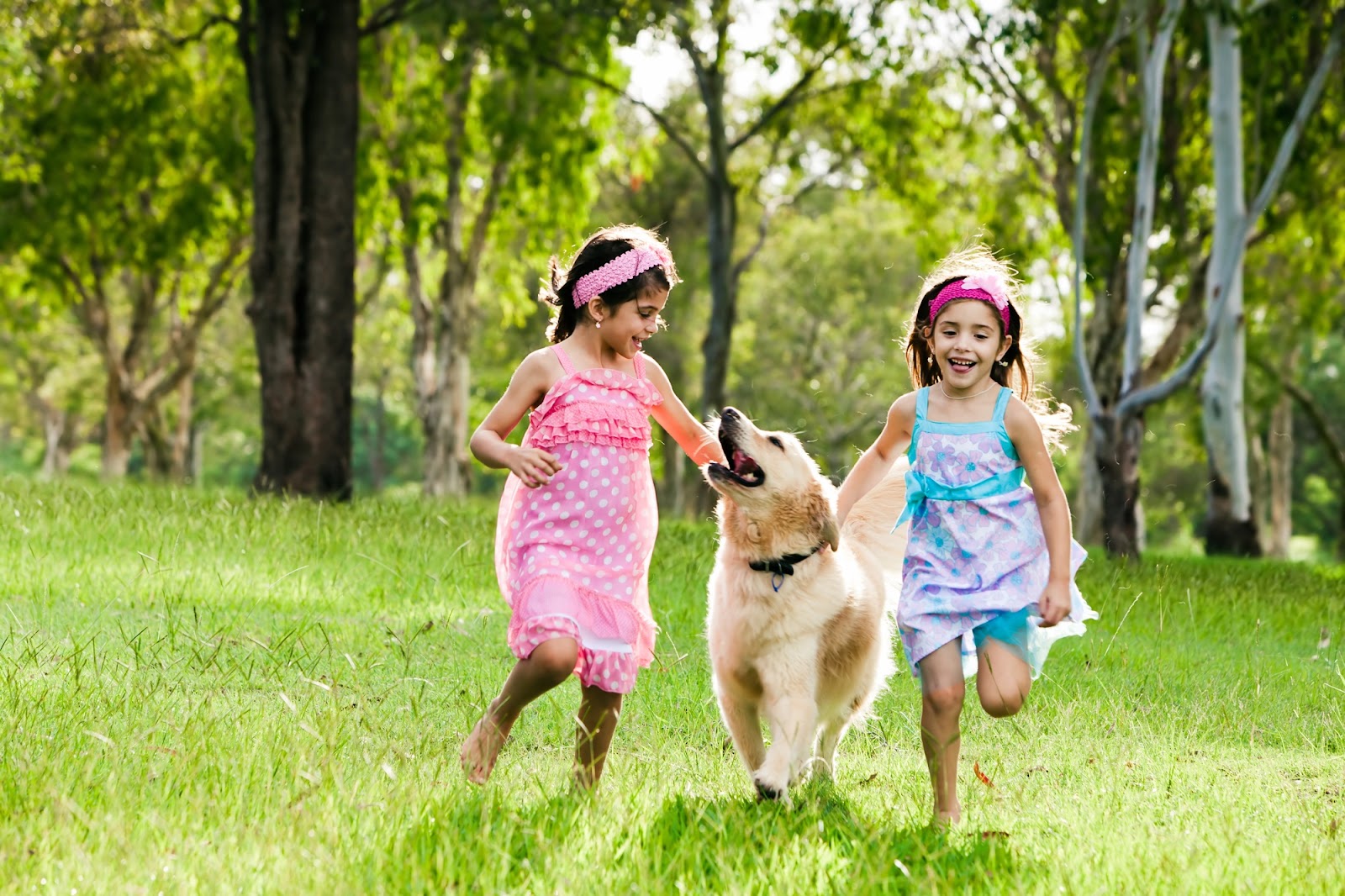 Poofect Scoop LLC - Photo 2