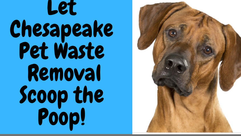 Chesapeake Pet Waste Removal