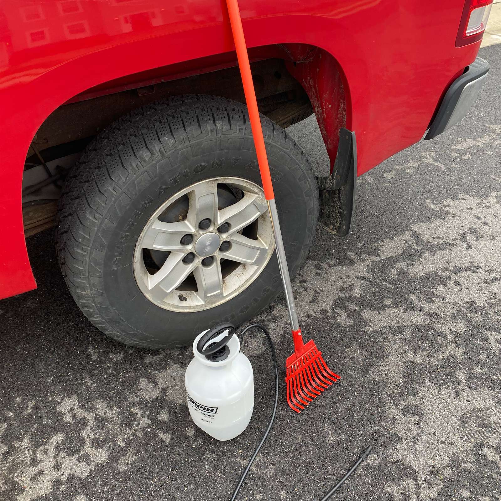 Chesapeake Pet Waste Removal - Photo 2