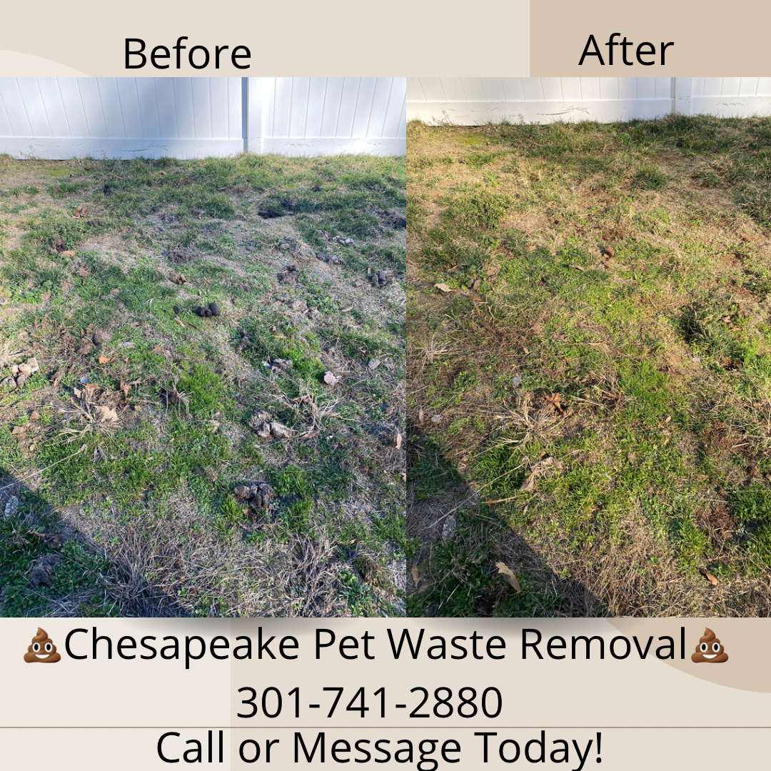 Chesapeake Pet Waste Removal - Photo 4