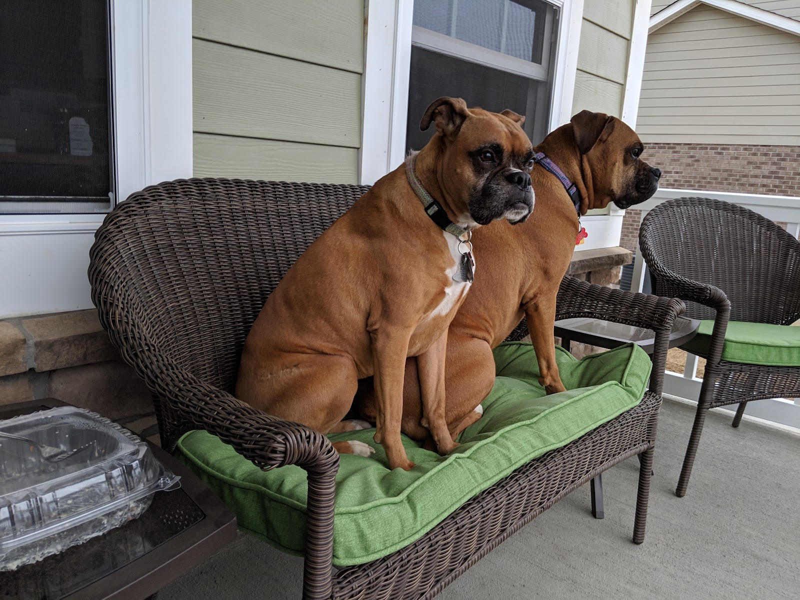 Pet Butler - Photo 3