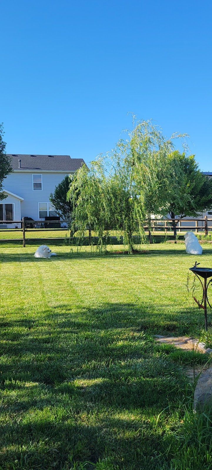 Pet Butler - Photo 4