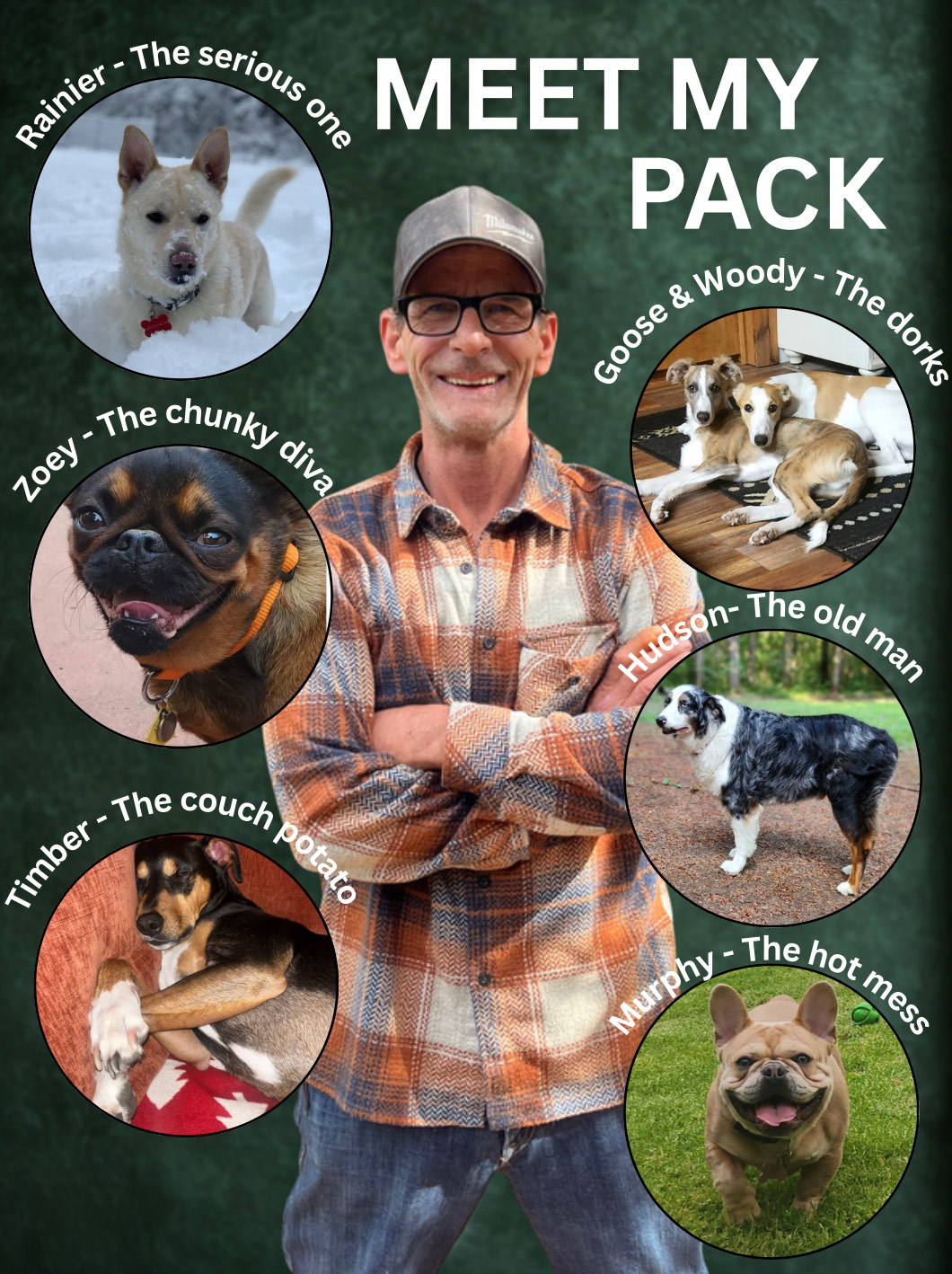 Mr. Pooper Scoops - Photo 3