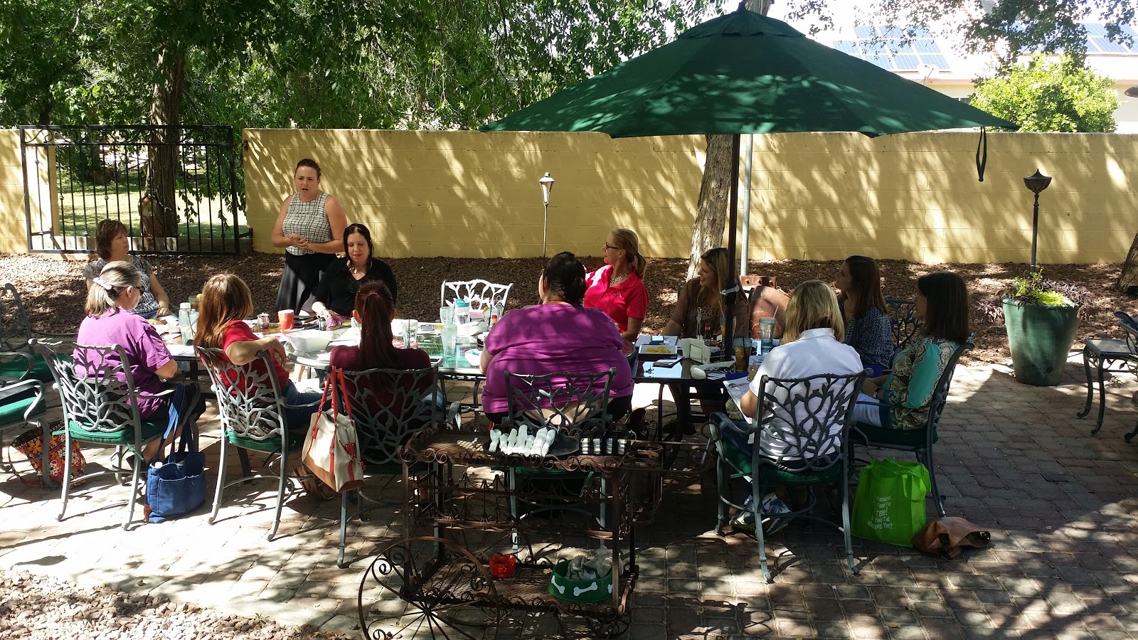 Az Pet Professionals - Photo 2