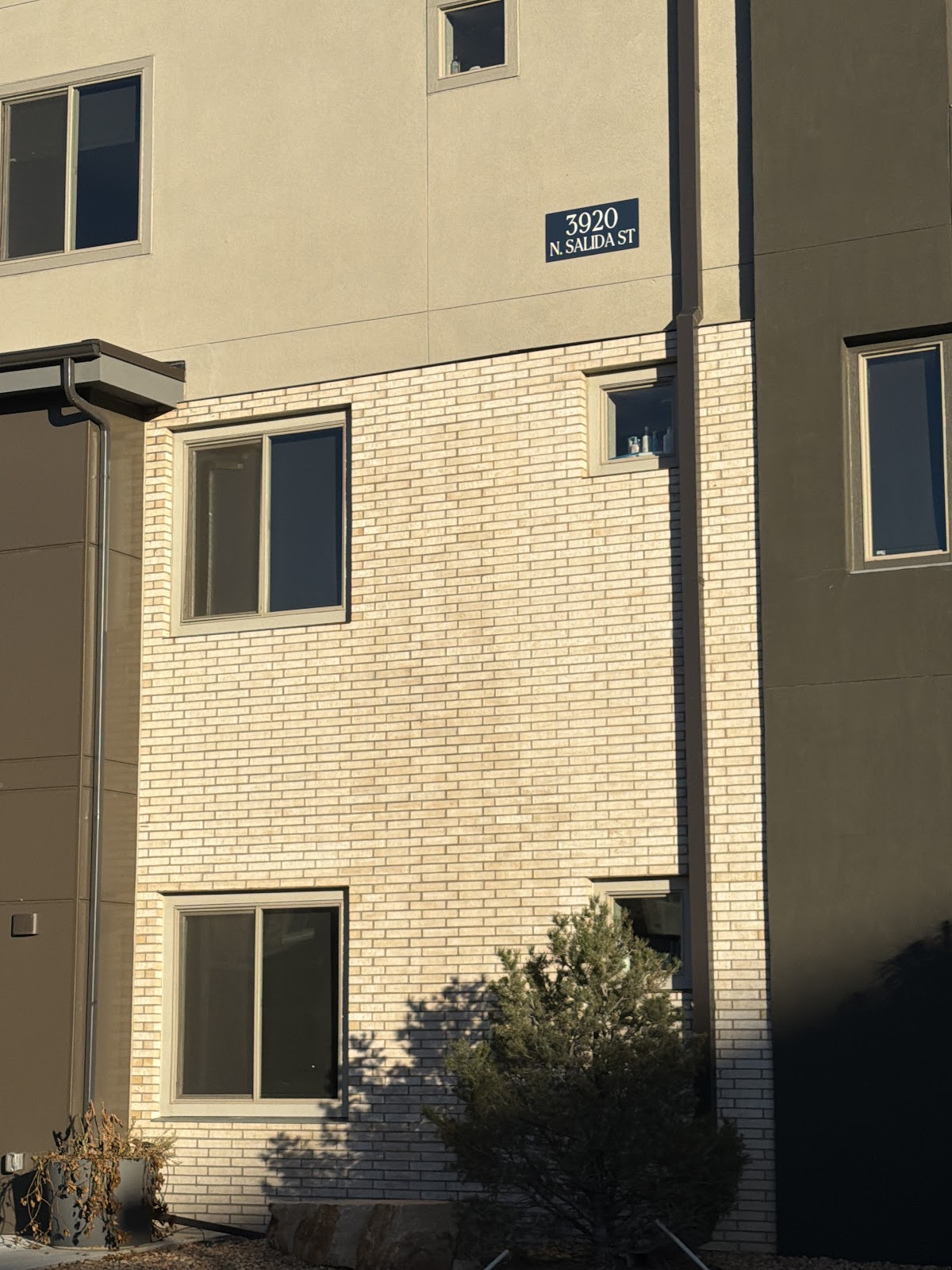 Poop Scoop Solutions