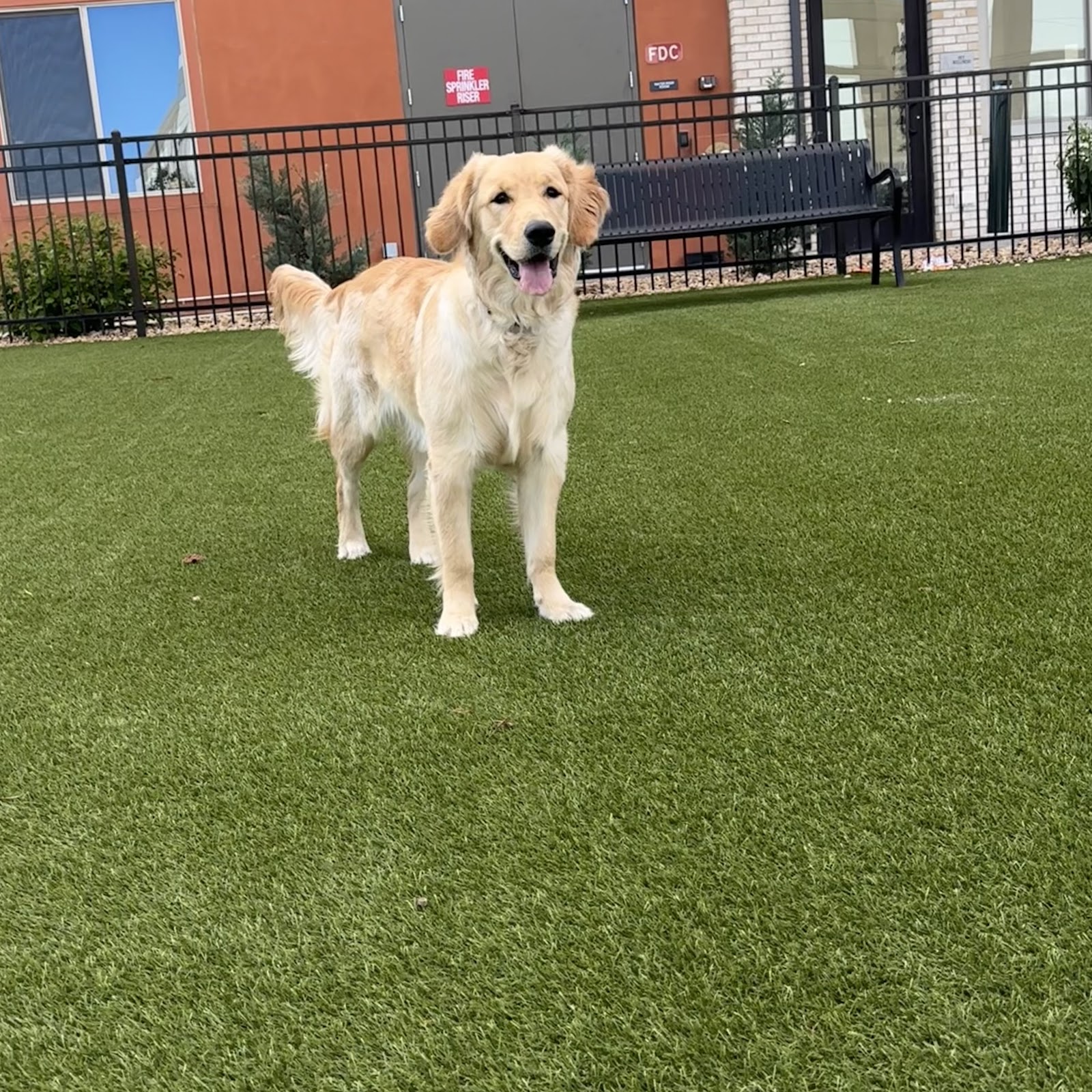 Poop Scoop Solutions - Photo 2