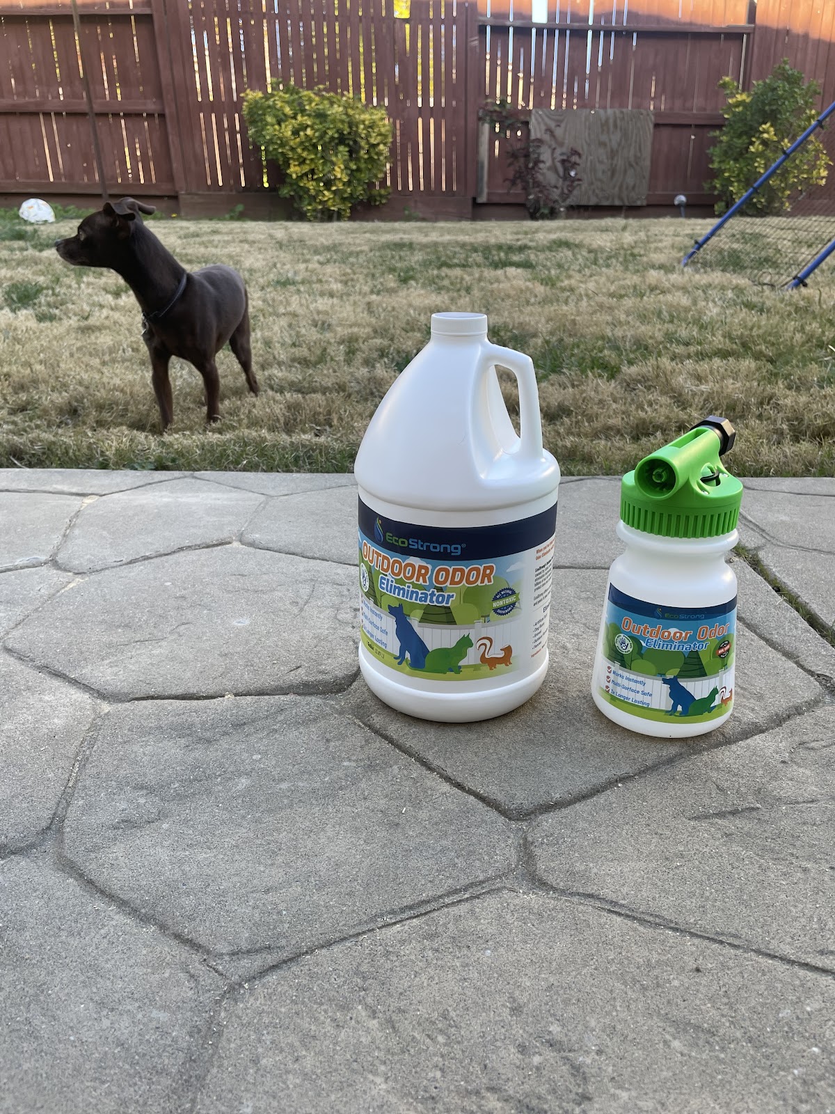 Doggie Doo Disposal - Photo 4